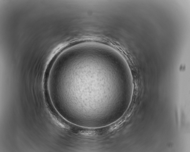 X0000096160104200801251137