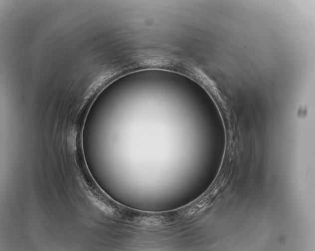 X0000096160106200801251137