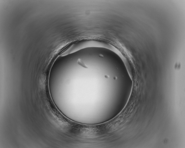 X0000096160107200801251136