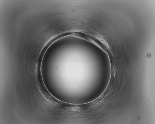 X0000096160108200801251136