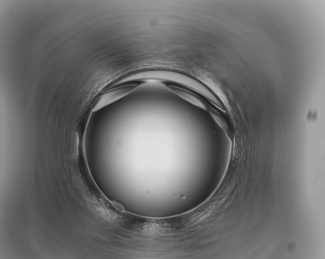 X0000096160109200801251136