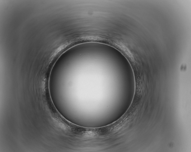 X0000096160111200801251136