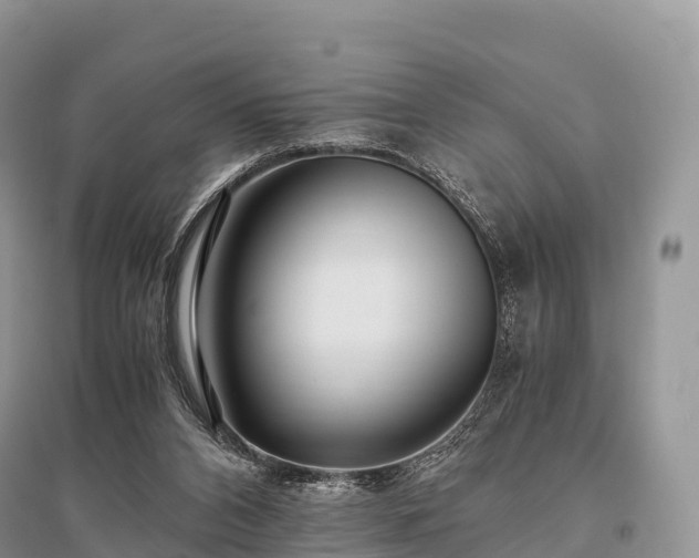 X0000096160112200801251136