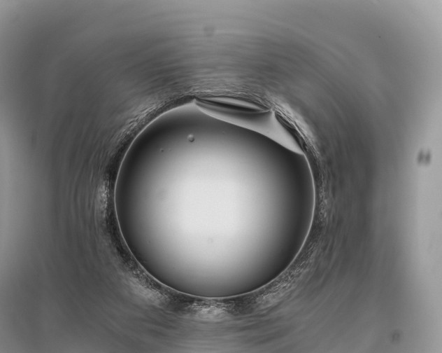 X0000096160113200801251136