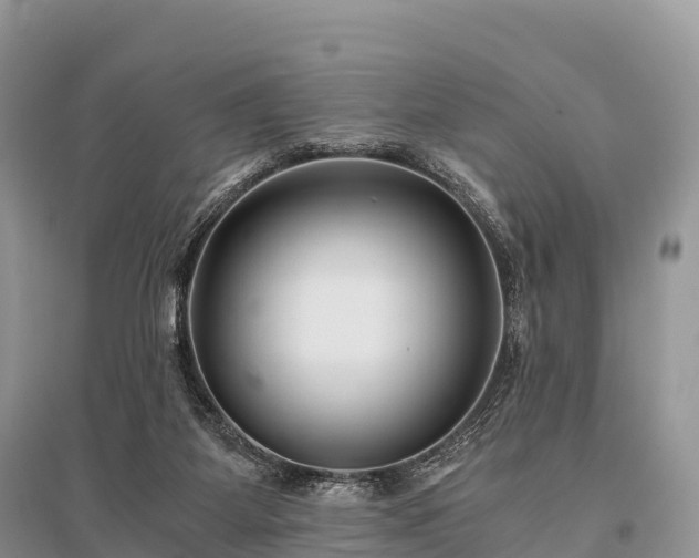 X0000096160115200801251136