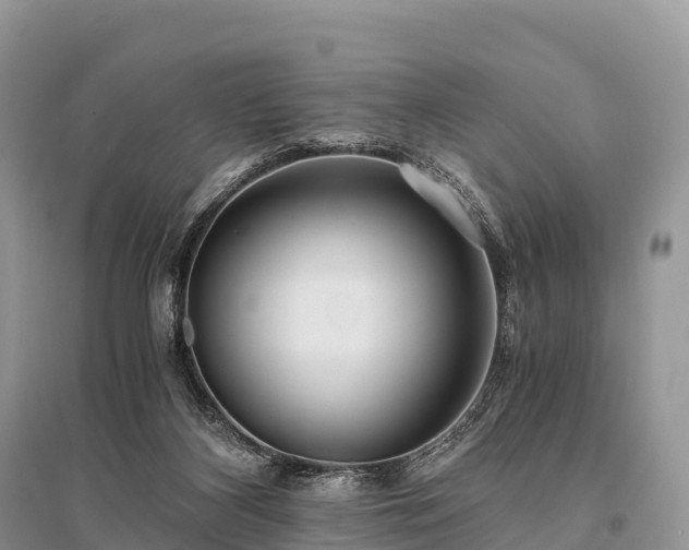 X0000096160116200801251136