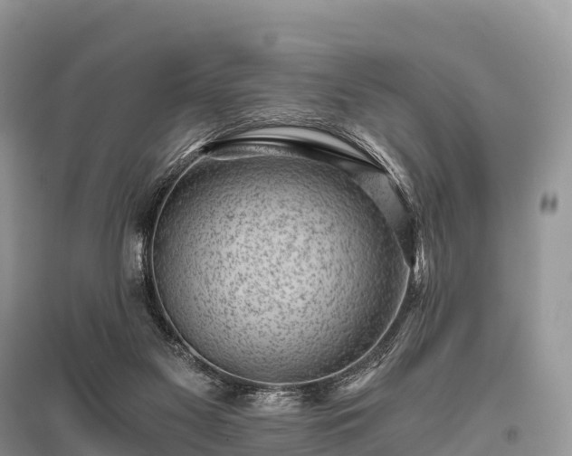 X0000096160117200801251136