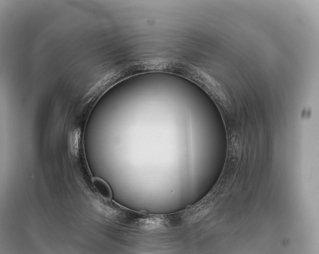 X0000096160118200801251136