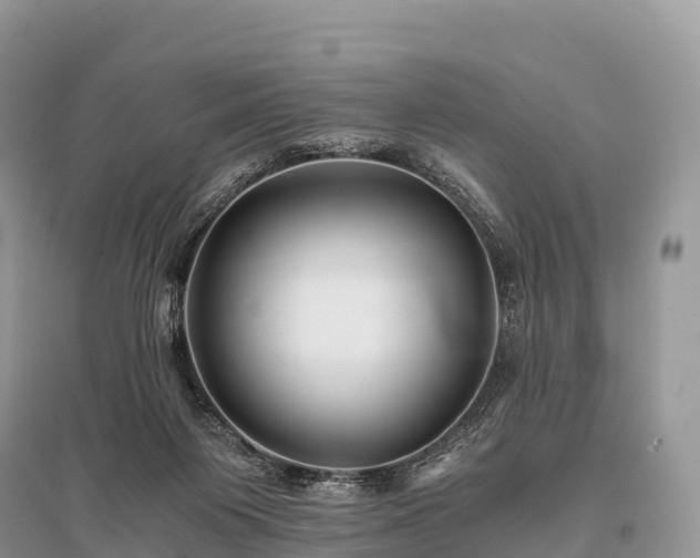 X0000096160119200801251136