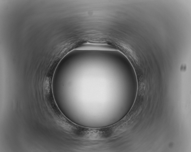 X0000096160121200801251136