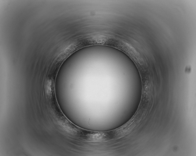 X0000096160122200801251136