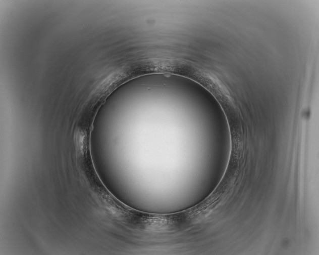 X0000096160123200801251136