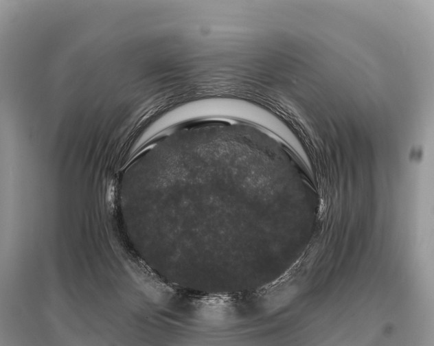 X0000096160124200801251136