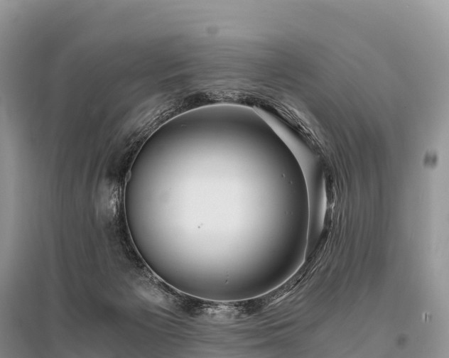 X0000096160125200801251136