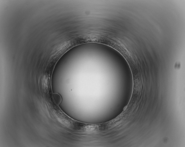 X0000096160126200801251136