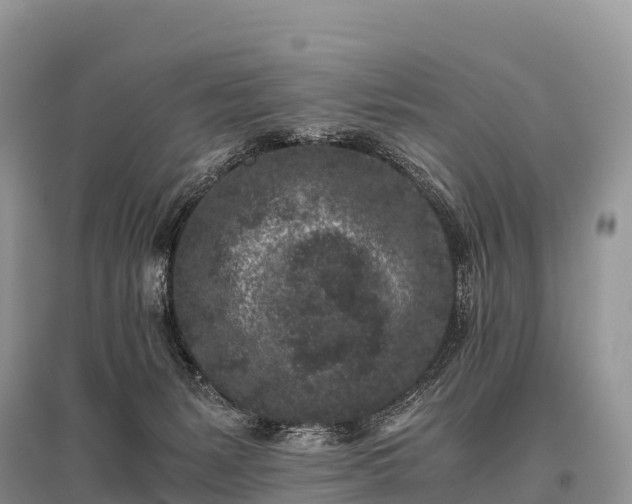 X0000096160127200801251136