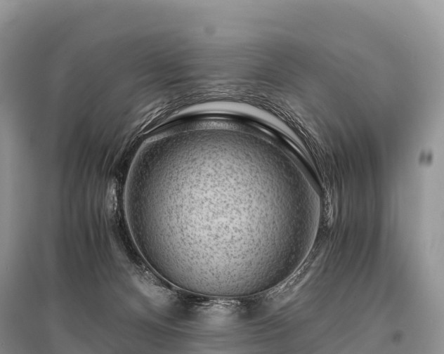 X0000096160128200801251136