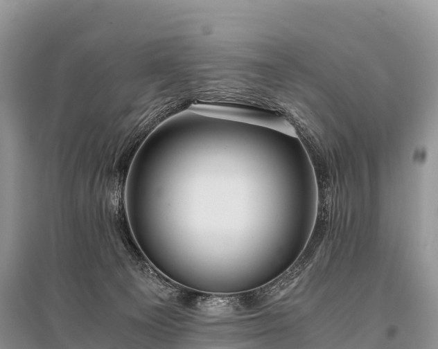 X0000096160129200801251136