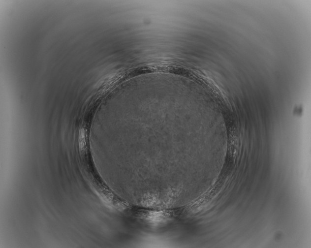 X0000096160130200801251136