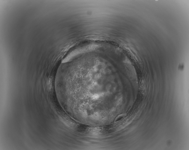X0000096160131200801251136