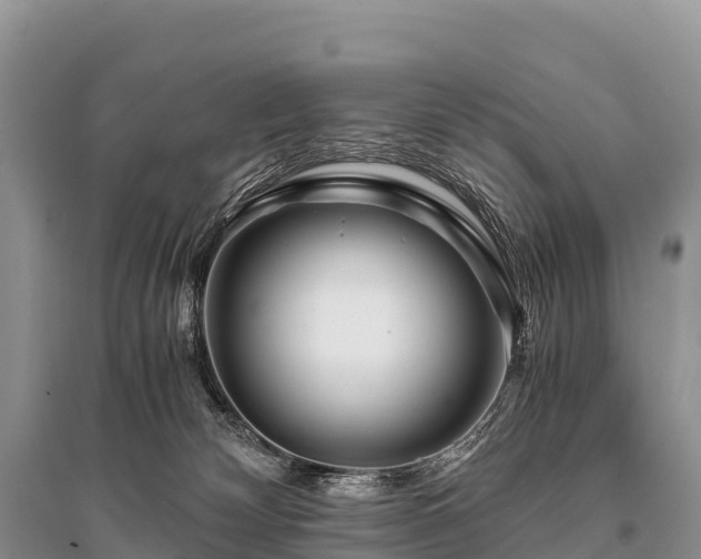 X0000096160132200801251136