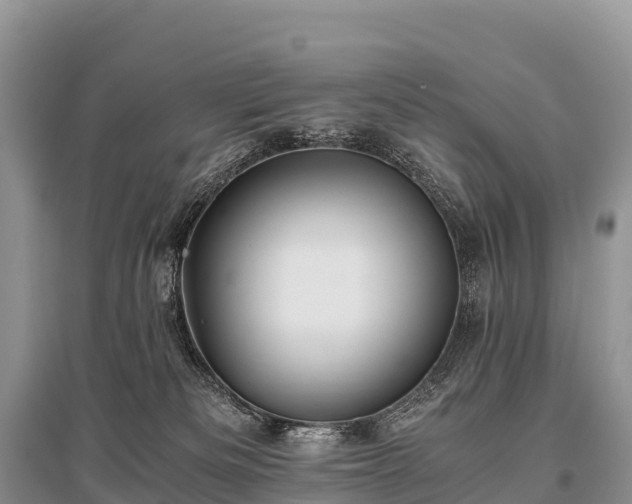 X0000096160133200801251136