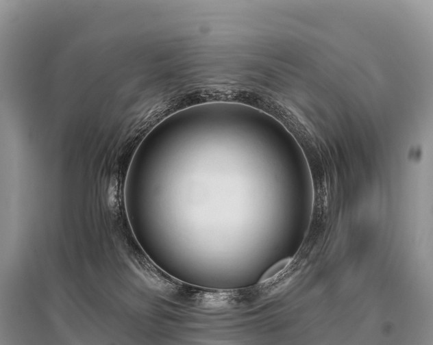 X0000096160134200801251136