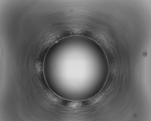 X0000096160135200801251136