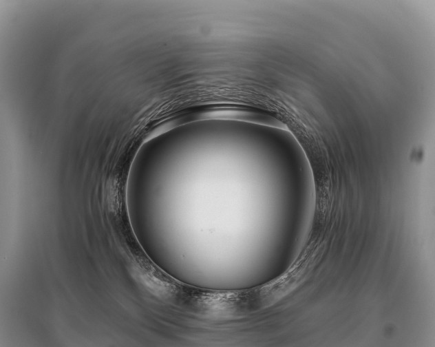 X0000096160136200801251136