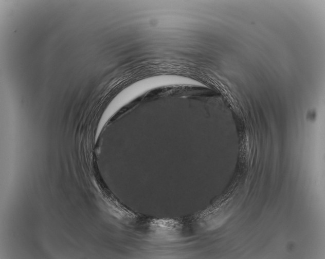 X0000096160137200801251136