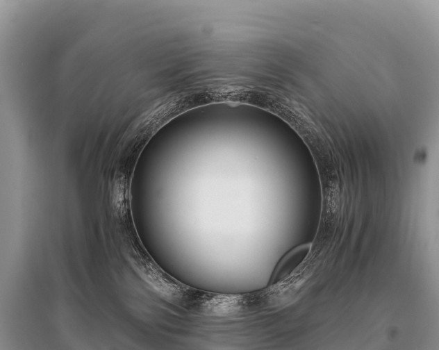 X0000096160138200801251136