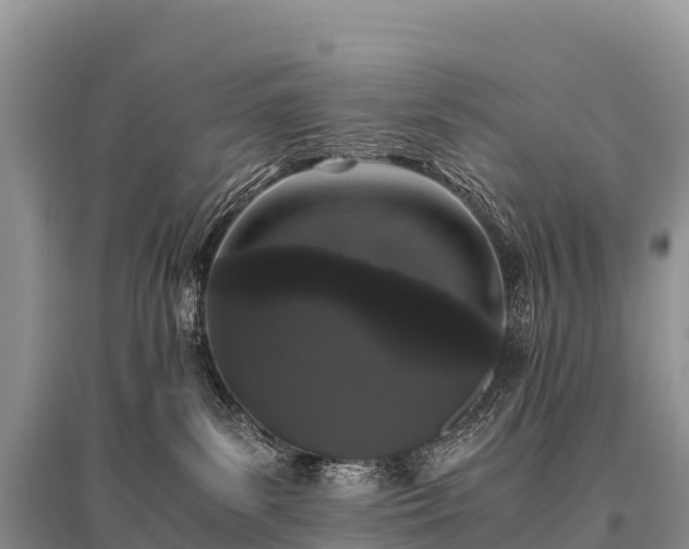 X0000096160139200801251136