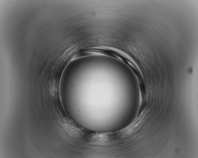 X0000096160140200801251136