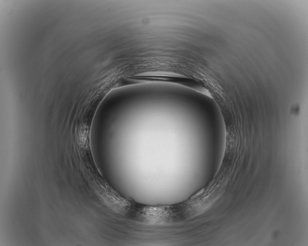 X0000096160141200801251136