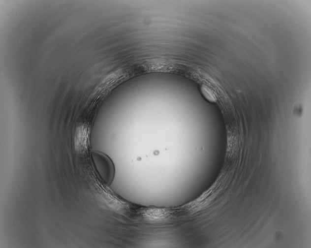 X0000096160142200801251136