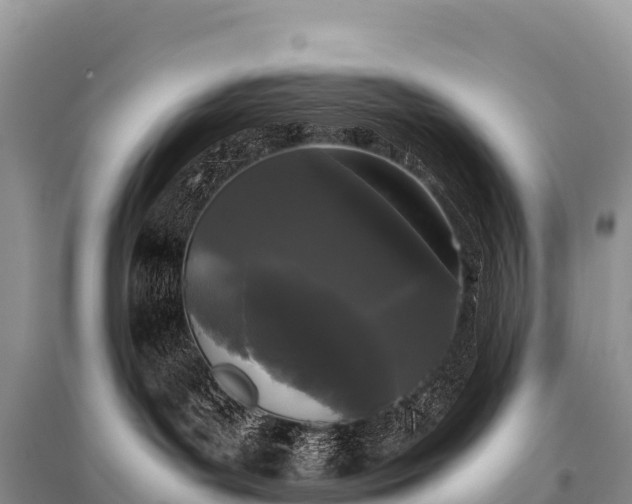 X0000096160143200801251136