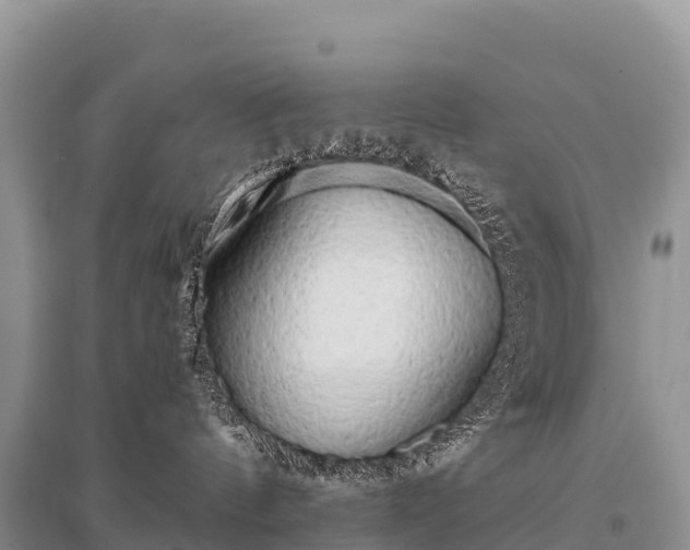 X0000096160144200801251136