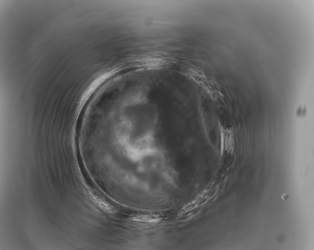 X0000096160147200801251135