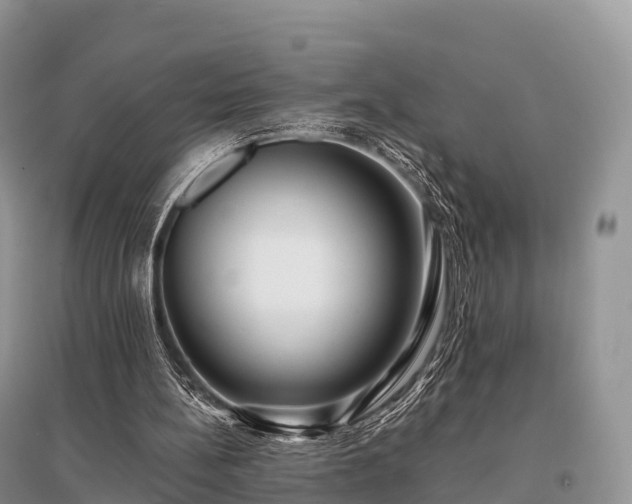 X0000096160148200801251135