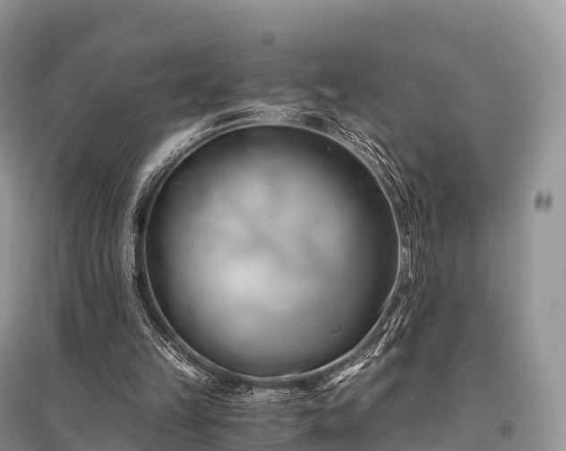 X0000096160149200801251135