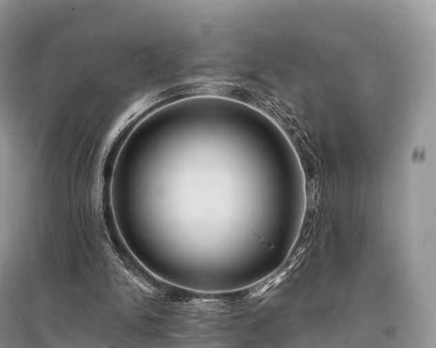 X0000096160150200801251135