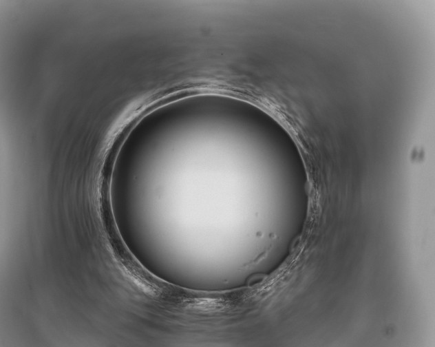 X0000096160151200801251135