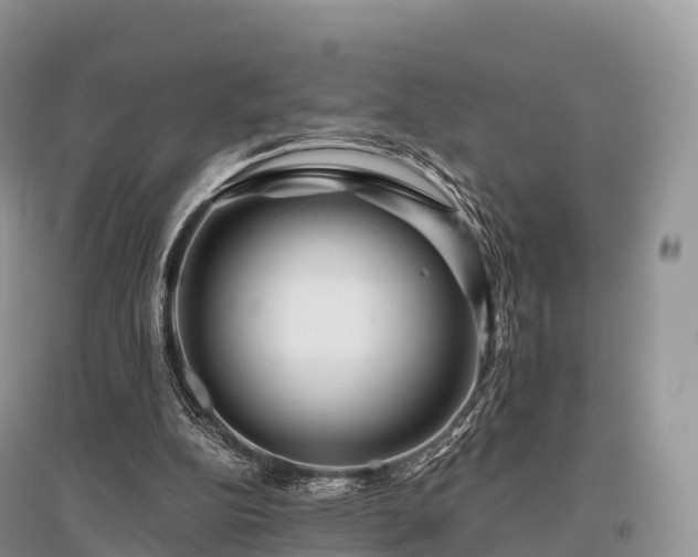 X0000096160152200801251135