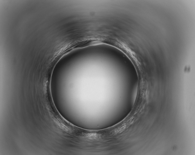 X0000096160153200801251135