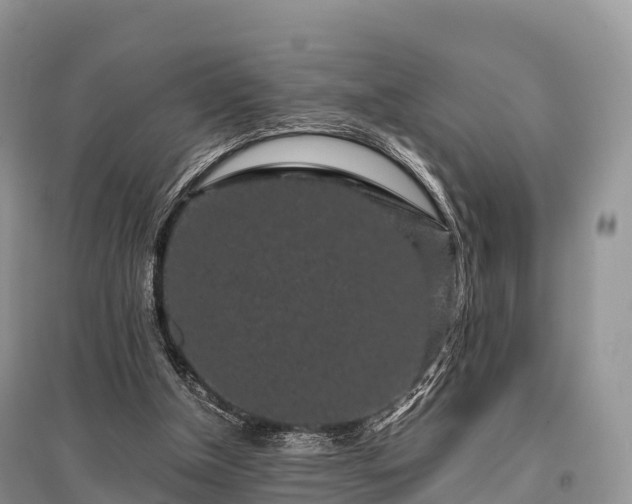 X0000096160154200801251135