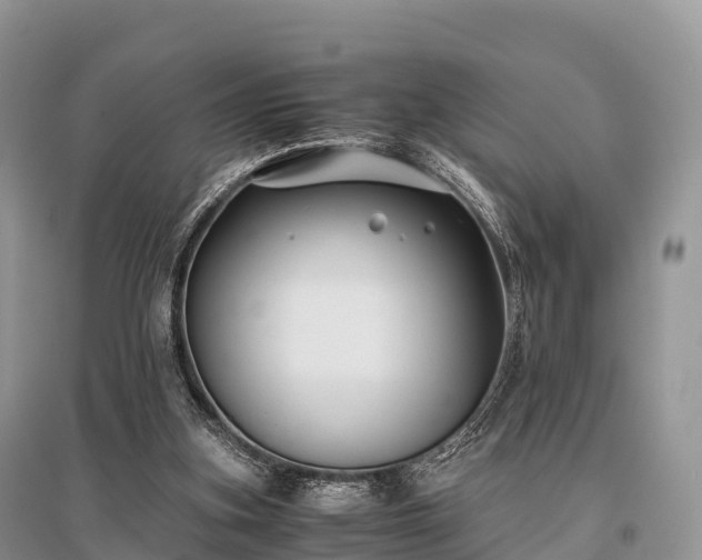 X0000096160155200801251135