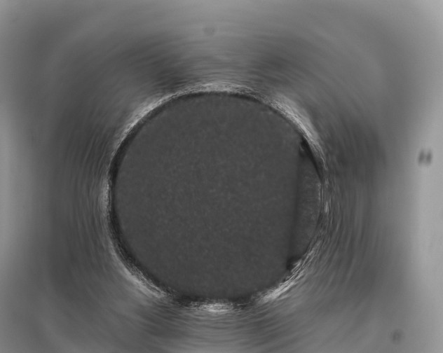 X0000096160156200801251135