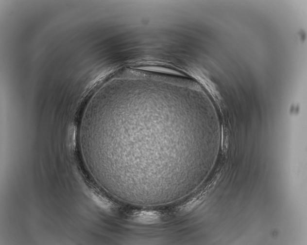 X0000096160157200801251135