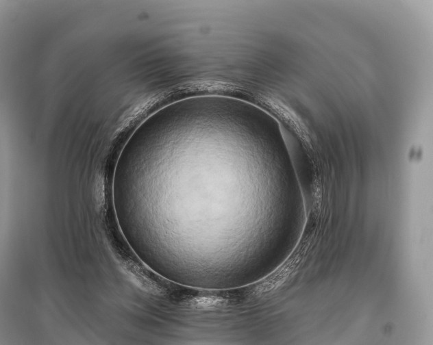 X0000096160158200801251136