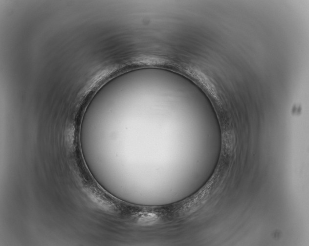 X0000096160159200801251136